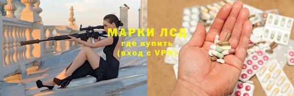 PSILOCYBIN Алзамай