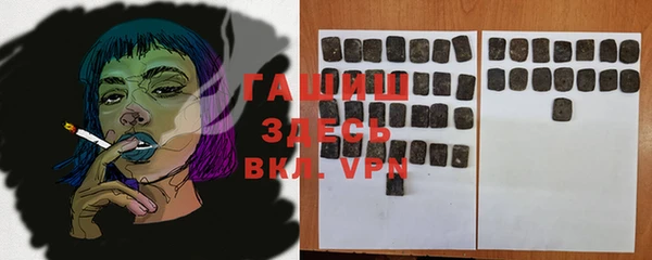 PSILOCYBIN Алзамай