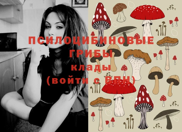 амф Алексеевка