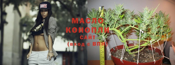 PSILOCYBIN Алзамай