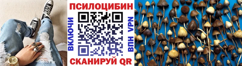 Галлюциногенные грибы Psilocybe  MEGA онион  Железноводск  купить закладку 